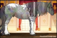 Horse Color:Nacre Black Tobiano Rabicano 