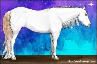Horse Color:White Spotted Buckskin Dun Sabino Splash Near Leopard 