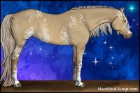 Horse Color:White Spotted Chocolate Palomino Dun Rabicano