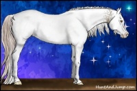 Horse Color:White Spotted Chocolate Palomino Splash Rabicano 