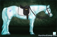 Horse Color:Thunderstruck White Spotted Silver Bay Ice Onyx Tobiano Appaloosa 