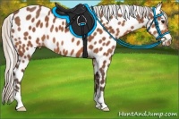 Horse Color:Silver Bay Leopard 