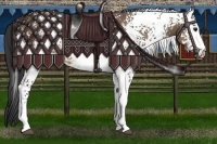 Horse Color:White Spotted Brown Dun 