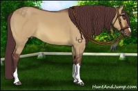 Horse Color:Chocolate Brown Dun