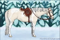 Horse Color:Cremello Tobiano 