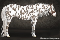 Horse Color:Silver Smoky Black Leopard