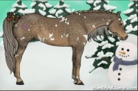Horse Color:White Spotted Chocolate Palomino 
