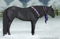 Horse Color:Black 