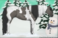 Horse Color:Grullo Tobiano