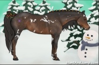 Horse Color:White Spotted Liver Chestnut Rabicano 