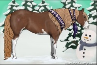 Horse Color:Chestnut Sabino