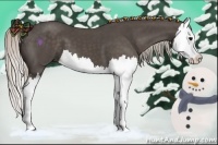 Horse Color:Silver Black Splash