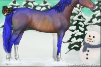 Horse Color:Watercolor Brown Appaloosa Rabicano 