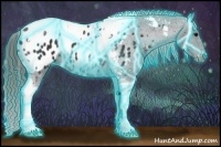 Horse Color:Thunderstruck Black Tobiano Appaloosa 