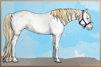 Horse Color:Painted Cremello Onyx Sabino 