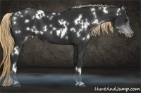 Horse Color:White Spotted Liver Chestnut 