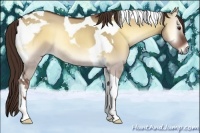Horse Color:Red Dun Onyx Tobiano Rabicano 