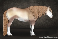 Horse Color:Liver Red Onyx Pearl Sabino