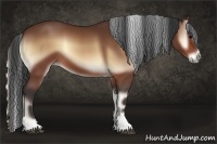Horse Color:Bay Onyx Sabino Rabicano 