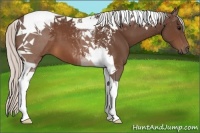 Horse Color:Silver Brown Tobiano 