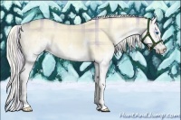 Horse Color:Plaid  Cremello Onyx Sabino Splash 