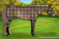 Horse Color:Plaid  Liver Chestnut Rabicano 