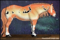 Horse Color:Watercolor White Spotted Chocolate Palomino Onyx