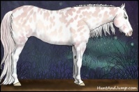 Horse Color:Watercolor Perlino Onyx Appaloosa
