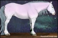Horse Color:Watercolor Perlino Onyx Sabino