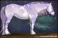 Horse Color:Watercolor White Spotted Chocolate Palomino Onyx