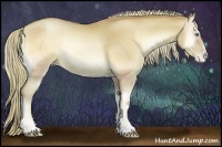 Horse Color:Watercolor Palomino Pearl Onyx Sabino 