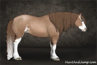 Horse Color:Brown Pearl Sabino Splash 