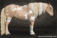 Horse Color:White Spotted Liver Chestnut Pearl Sabino