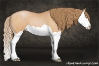 Horse Color:Bay Pearl Splash