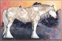 Horse Color:Silver Brown Pearl Sabino 