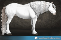 Horse Color:Liver Red Onyx Pearl Sabino 