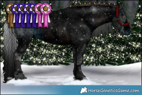 Horse Color:ERROR: UNKNOWN ANOMALY