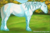 Horse Color:Thunderstruck Perlino Ice 