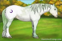 Horse Color:Watercolor Brown Snowcap Rabicano 