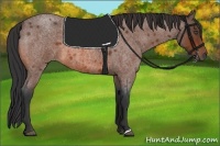 Horse Color:Bay Roan 