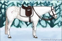 Horse Color:White Spotted Chestnut 
