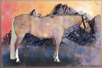 Horse Color:Nacre White Spotted Silver Buckskin Sabino 