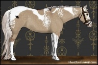Horse Color:White Spotted Chocolate Silver Grullo Tobiano Rabicano