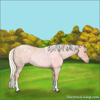 Horse Color:Silver Bay Ice Roan Pearl Tobiano