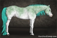Horse Color:Watercolor White Spotted Buckskin Ice 