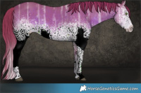 Horse Color:Watercolor White Spotted Liver Chestnut Ice Rabicano