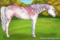 Horse Color:Watercolor Silver Buckskin Onyx Sabino Splash