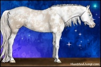 Horse Color:Chocolate Palomino Pearl Sabino