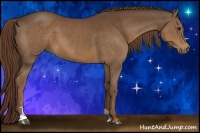 Horse Color:Liver Chestnut Sabino 