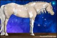 Horse Color:White Spotted Chocolate Palomino Pearl 